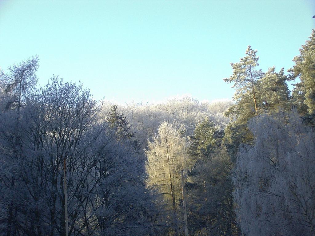Waldgaststaette Sennhuette Bad Frankenhausen